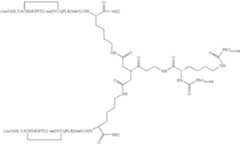 Figure US07906485-20110315-C00011