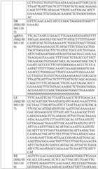 Figure BDA0004033970230006051