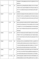 Figure BDA0004113681710000381