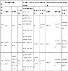 Figure BDA0002236234620000281