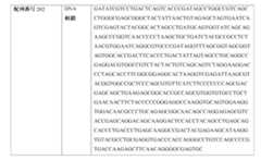 Figure 0007483732000072