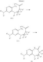 Figure US08592577-20131126-C00008