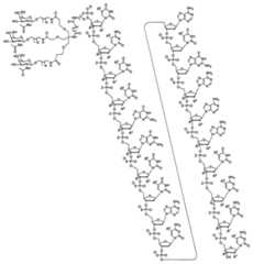 Figure 2023113843000614