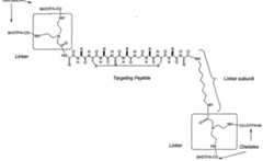 Figure imgf000035_0001