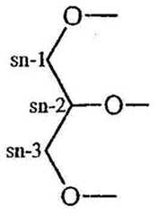 Figure BDA0000489564100000181