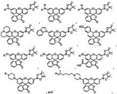 Figure imgf000095_0001