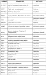 Figure imgf000074_0001