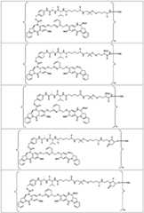 Figure BDA0003285627320001171