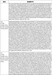 Figure BDA0003627552160001061