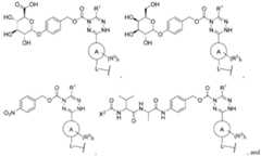 Figure imgf000073_0003