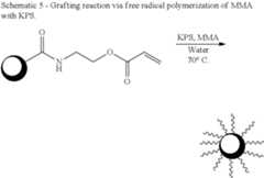 Figure US08383734-20130226-C00005