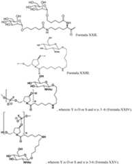 Figure imgf000088_0001