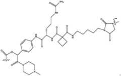 Figure BDA0004113777320000931