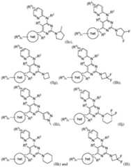 Figure imgf000289_0001