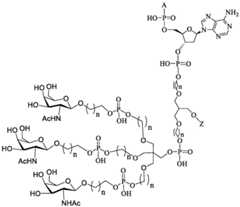 Figure BDA0003357312860001841
