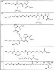 Figure imgf000078_0001