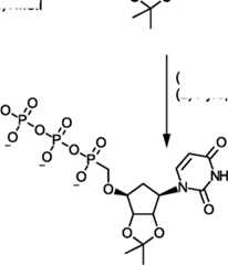 Figure AU2019202835A1_D0326