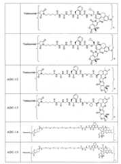 Figure 110110878-A0101-12-0026-25