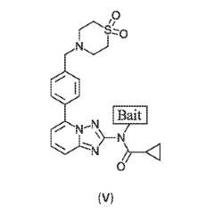 Figure imgf000026_0001