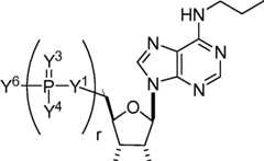 Figure AU2019202835A1_D0220