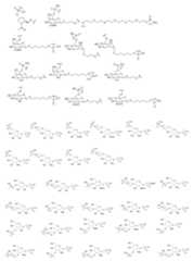 Figure imgf000021_0001