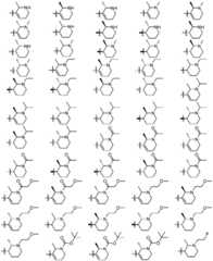 Figure GDA0003379855500001862