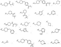 Figure FDA0002559633730000092