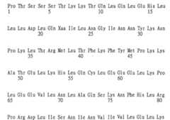 Figure 109130857-A0202-12-0516-908