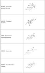 Figure BDA0002889616220000651