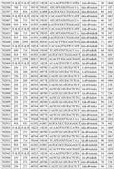 Figure BDA0002715438180001341