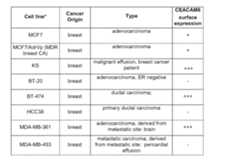 Figure imgf000123_0001