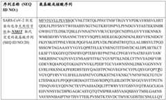 Figure BDA0003154168970000331