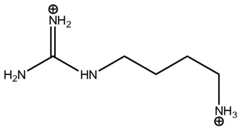 Figure imgf000009_0001