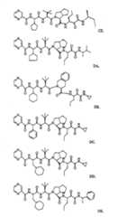 Figure G2009101493490D00581