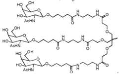 Figure imgf000240_0001