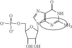 Figure US10501513-20191210-C00094