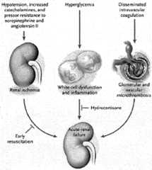 Figure imgf000024_0003