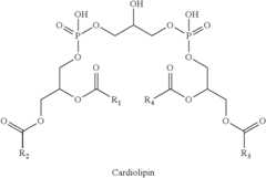 Figure US08778619-20140715-C00001