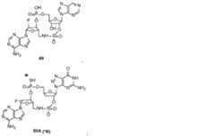 Figure 0007317014000040