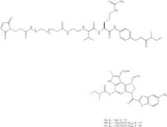 Figure US07691962-20100406-C00093