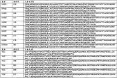 Figure BSA0000187949990000231