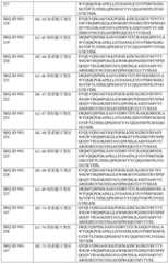 Figure BDA0003429348370000941