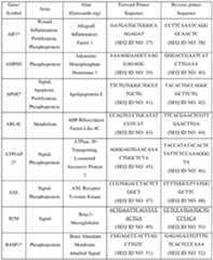 Figure imgf000142_0001