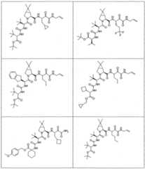 Figure imgf000203_0001