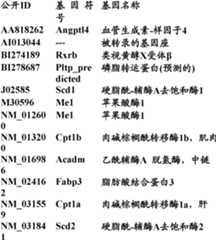 Figure BDA0000057170160002282