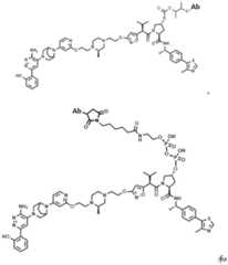 Figure FDA0004113777300000292