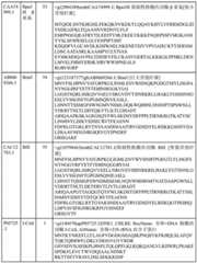 Figure BDA0000429500830000291