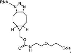 Figure imgf000117_0001