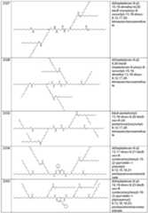 Figure imgf000076_0001