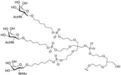 Figure imgf000207_0001